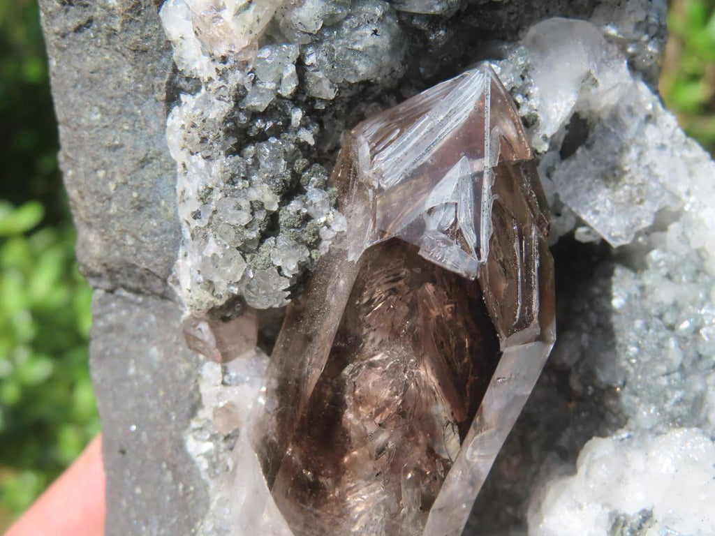 Natural Smokey Window Quartz Crystal On Calcite Vug In Matrix x 1 From Brandberg, Namibia