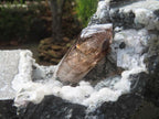 Natural Smokey Window Quartz Crystal On Calcite Vug In Matrix x 1 From Brandberg, Namibia