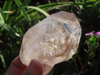 Natural Large Smokey Clear Quartz Crystal With Enhydro x 1 From Goboboseb, Brandberg, Namibia