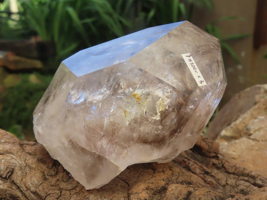 Natural Large Smokey Clear Quartz Crystal With Enhydro x 1 From Goboboseb, Brandberg, Namibia
