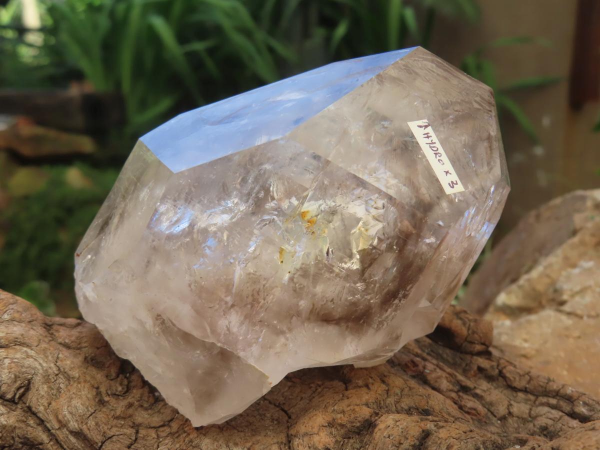 Natural Large Smokey Clear Quartz Crystal With Enhydro x 1 From Goboboseb, Brandberg, Namibia
