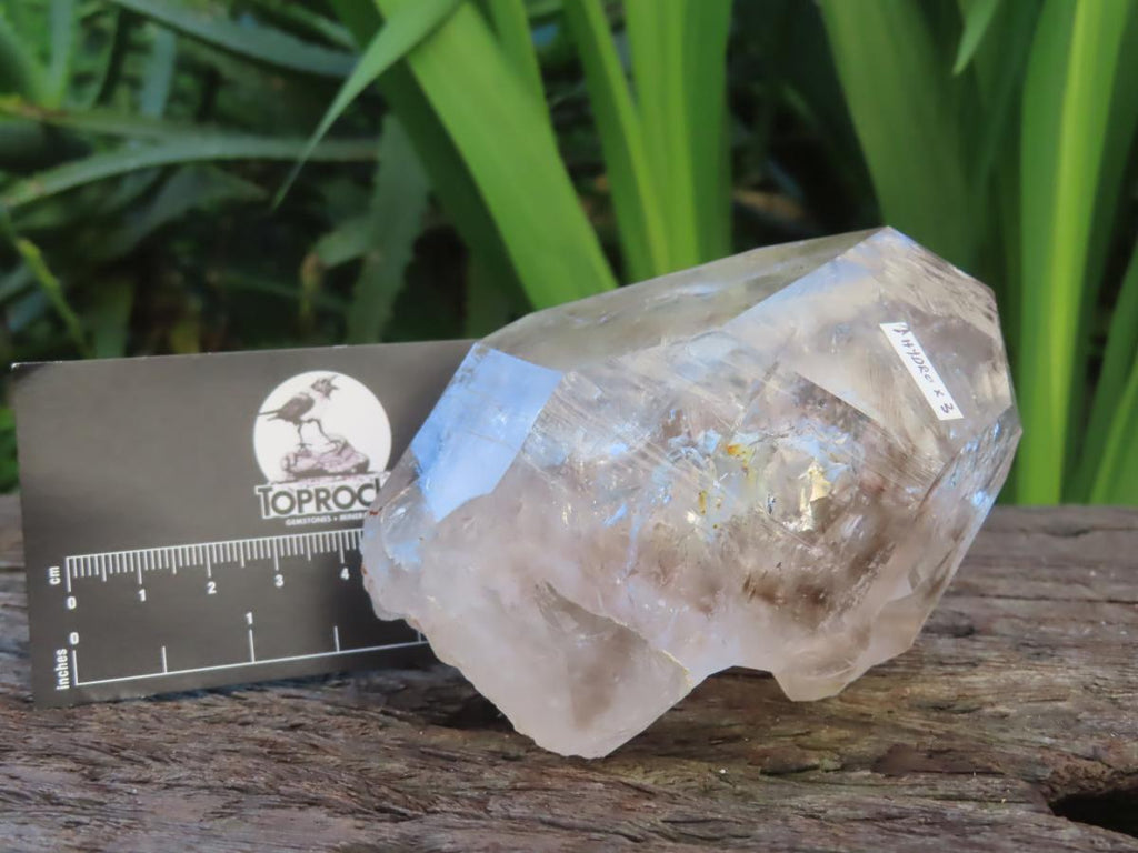 Natural Large Smokey Clear Quartz Crystal With Enhydro x 1 From Goboboseb, Brandberg, Namibia