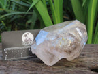 Natural Large Smokey Clear Quartz Crystal With Enhydro x 1 From Goboboseb, Brandberg, Namibia