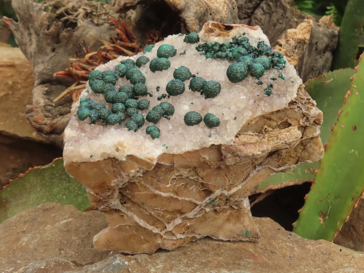 Natural Large Superb Ball Malachite Cabinet Specimen x 1 From Mindingi Mine, Congo