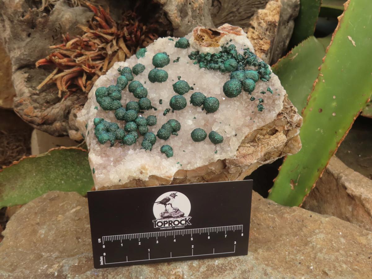 Natural Large Superb Ball Malachite Cabinet Specimen x 1 From Mindingi Mine, Congo