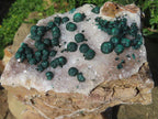 Natural Large Superb Ball Malachite Cabinet Specimen x 1 From Mindingi Mine, Congo