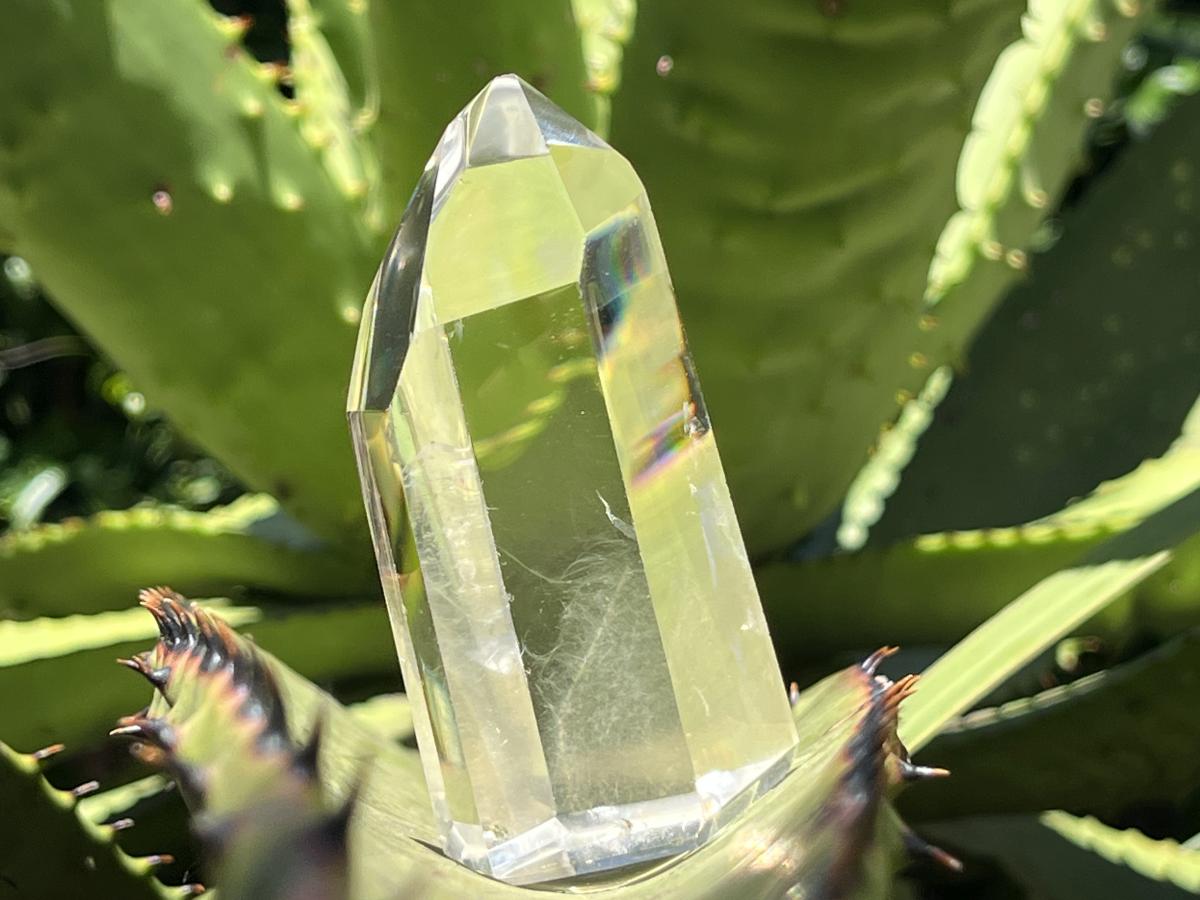 Polished Rare Fine Golden Rutile Optic Clear Quartz Crystal x 1 From Madagascar
