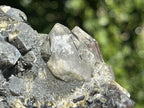 Natural Schorl Black Tourmaline with Multi-Mineral Specimen x 1 From Erongo, Namibia