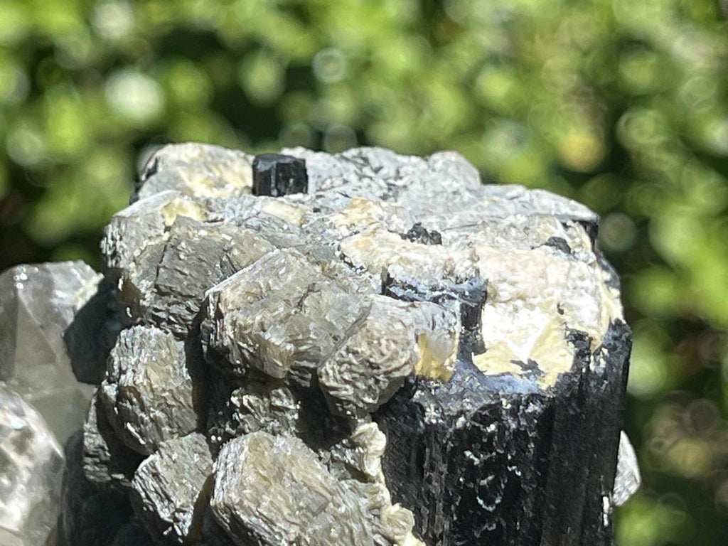 Natural Schorl Black Tourmaline with Multi-Mineral Specimen x 1 From Erongo, Namibia