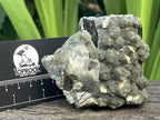 Natural Schorl Black Tourmaline with Multi-Mineral Specimen x 1 From Erongo, Namibia