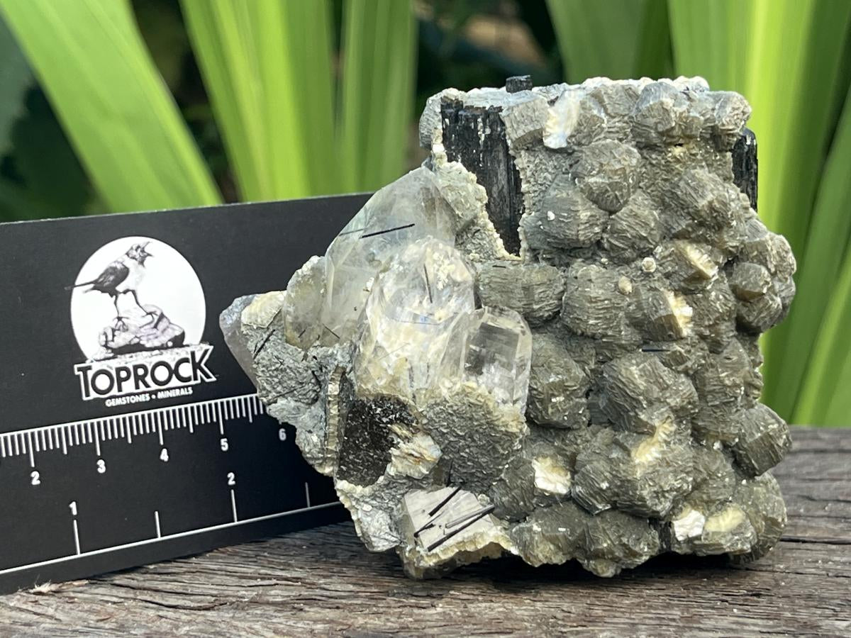 Natural Schorl Black Tourmaline with Multi-Mineral Specimen x 1 From Erongo, Namibia