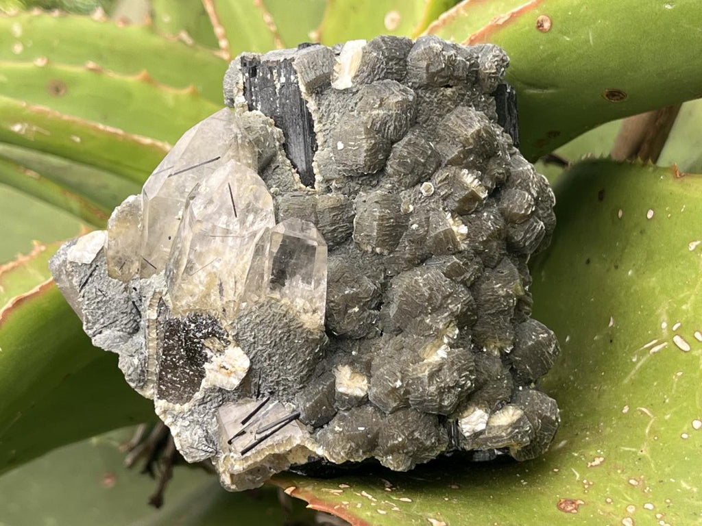 Natural Schorl Black Tourmaline with Multi-Mineral Specimen x 1 From Erongo, Namibia