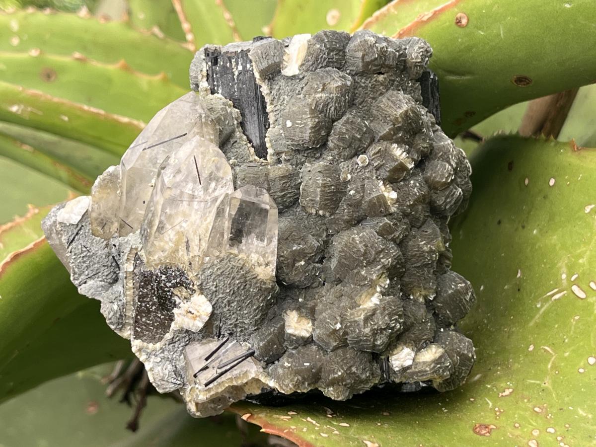 Natural Schorl Black Tourmaline with Multi-Mineral Specimen x 1 From Erongo, Namibia