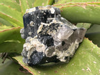 Natural Schorl Black Tourmaline with Multi-Mineral Specimen x 1 From Erongo, Namibia