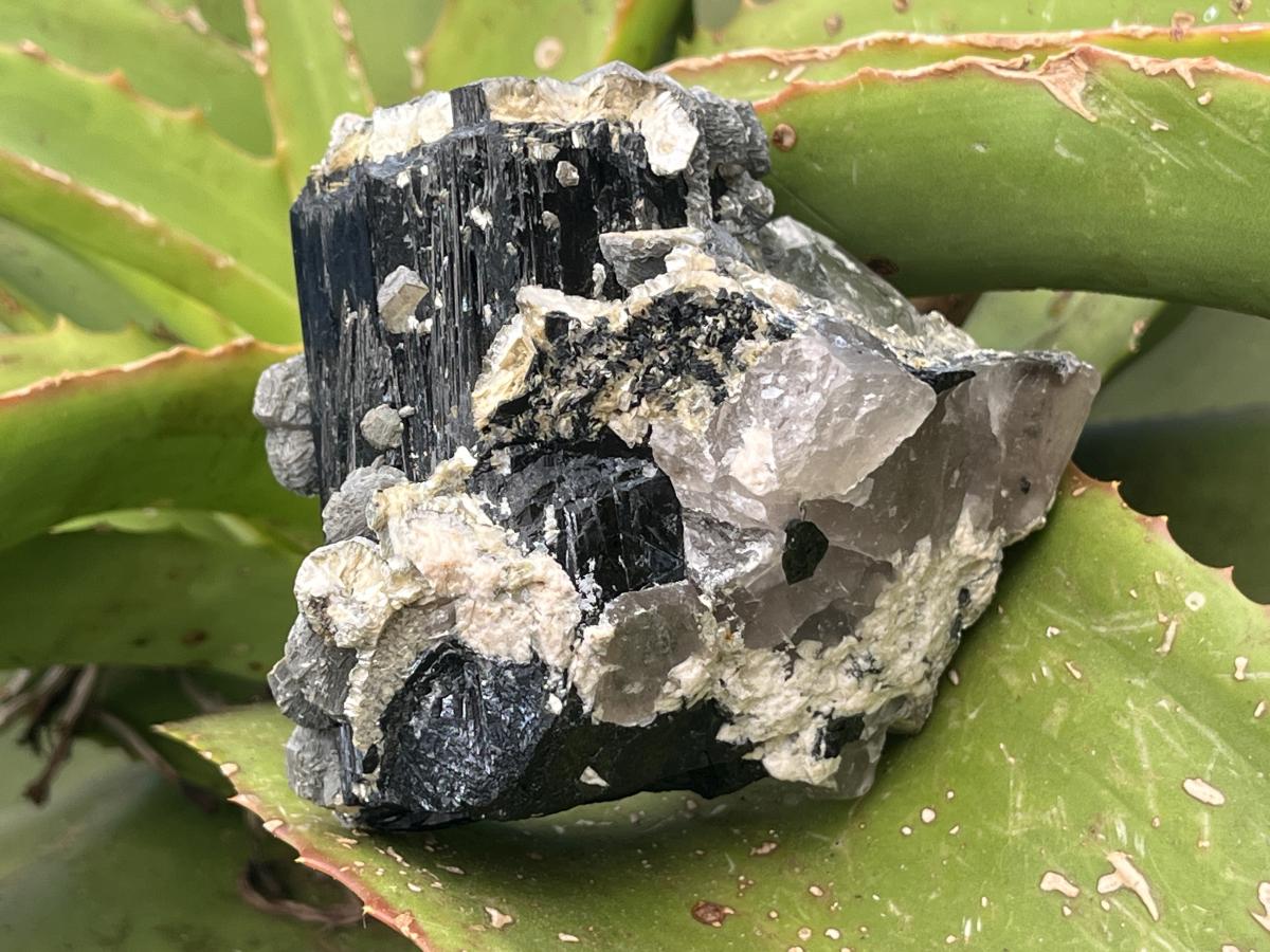 Natural Schorl Black Tourmaline with Multi-Mineral Specimen x 1 From Erongo, Namibia