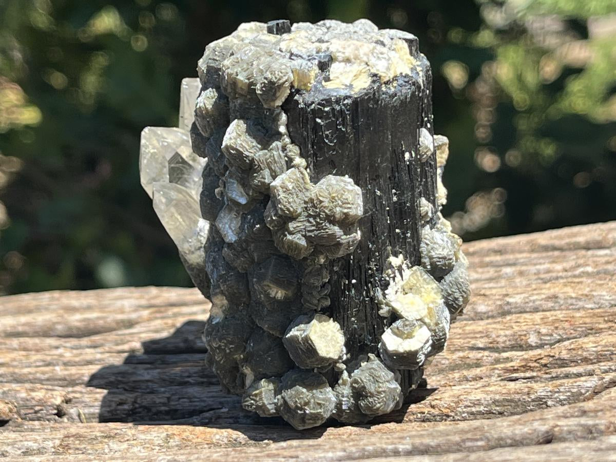 Natural Schorl Black Tourmaline with Multi-Mineral Specimen x 1 From Erongo, Namibia