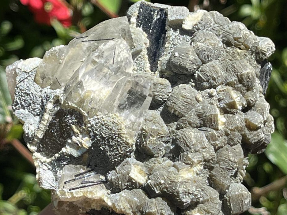 Natural Schorl Black Tourmaline with Multi-Mineral Specimen x 1 From Erongo, Namibia