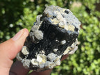 Natural Schorl Black Tourmaline with Multi-Mineral Specimen x 1 From Erongo, Namibia