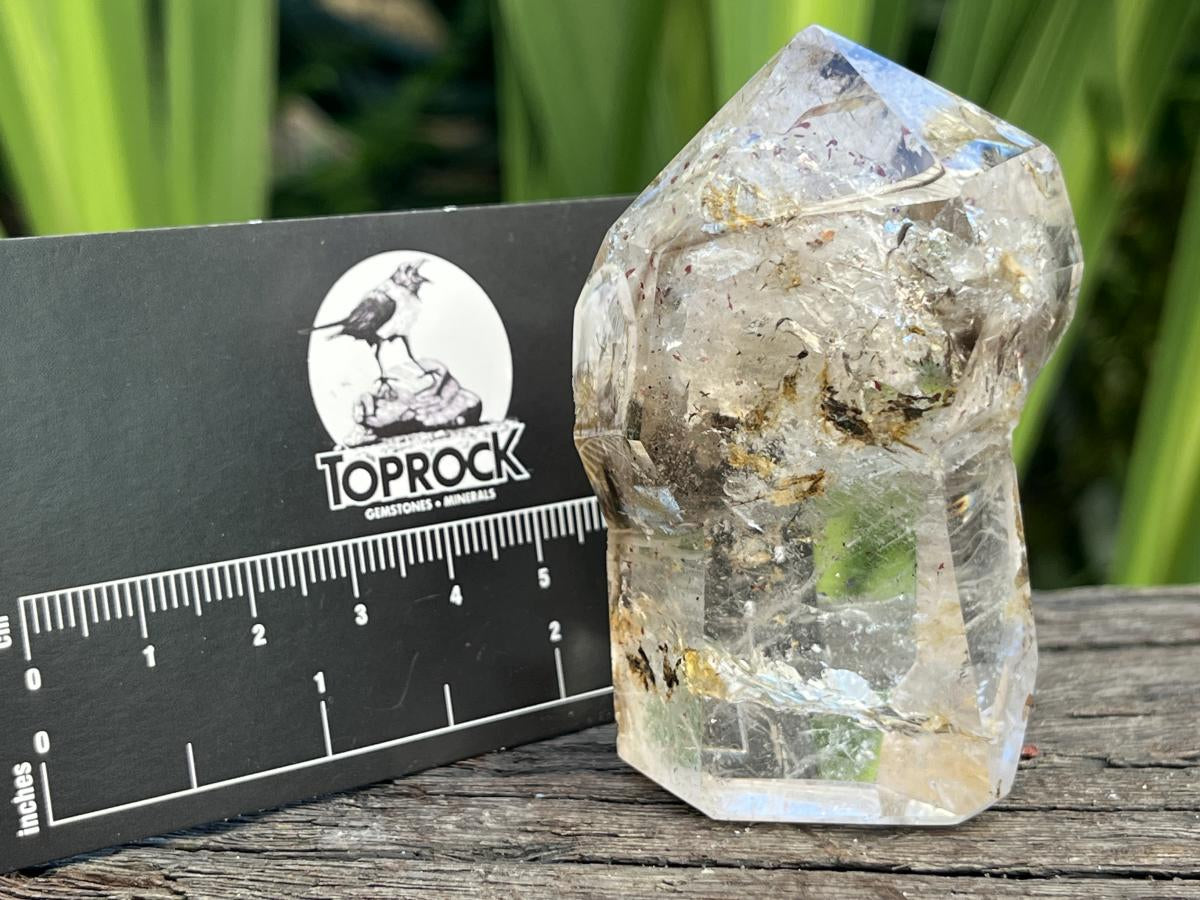 Polished Smokey Clear Quartz Crystal Sceptre x 1 From Madagascar