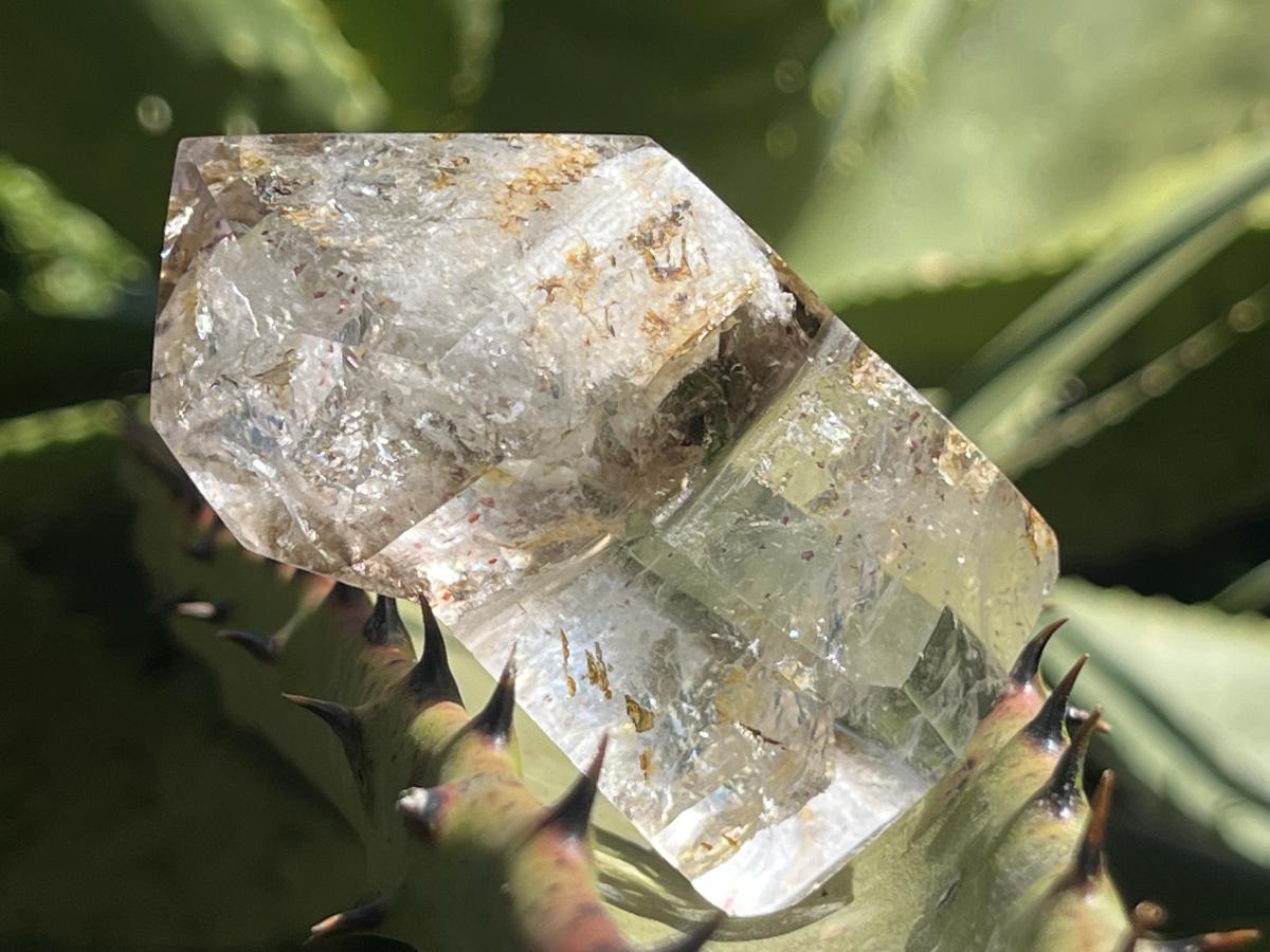 Polished Smokey Clear Quartz Crystal Sceptre x 1 From Madagascar