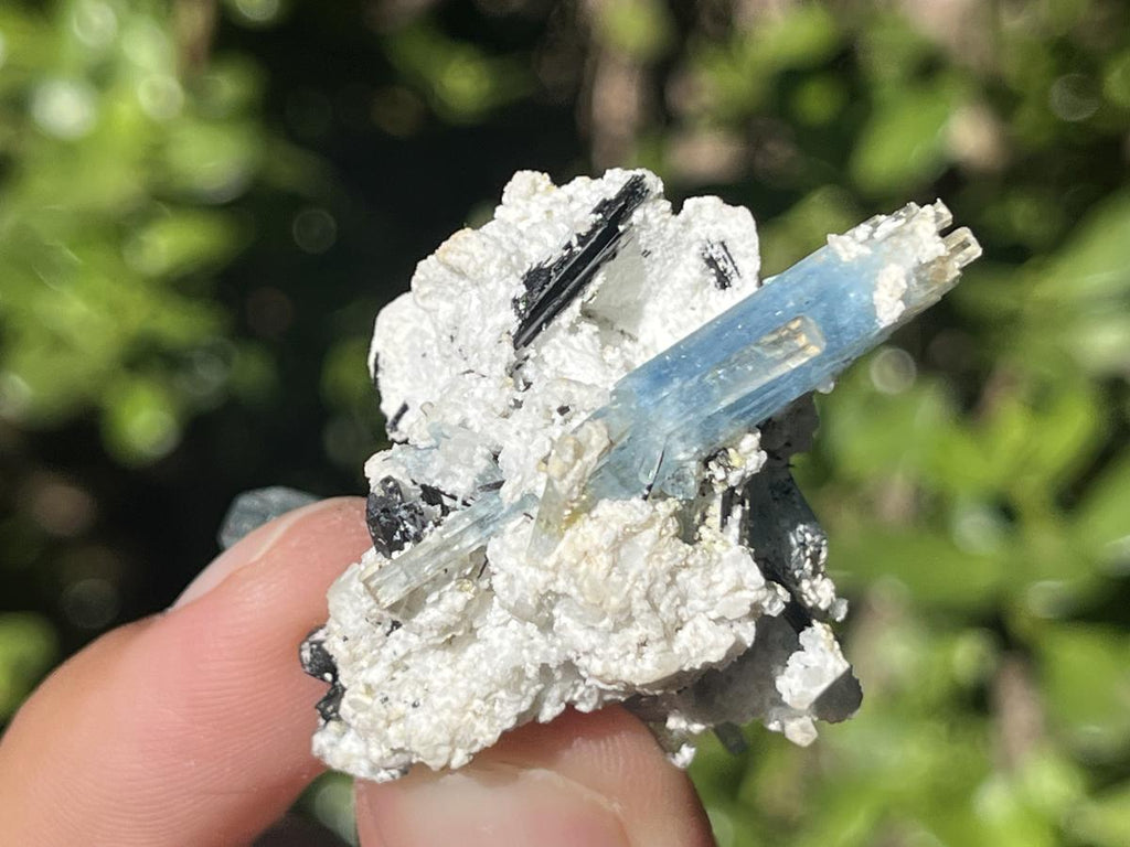 Natural Cluster of Gemmy Aquamarine and Black Tourmaline Specimen x 1 From Erongo, Namibia