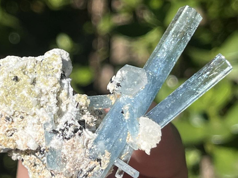 Natural Cluster of Gemmy Aquamarine and Black Tourmaline Specimen x 1 From Erongo, Namibia