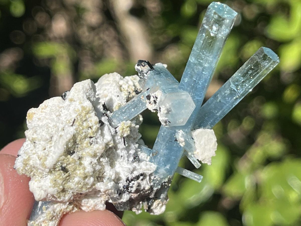 Natural Cluster of Gemmy Aquamarine and Black Tourmaline Specimen x 1 From Erongo, Namibia