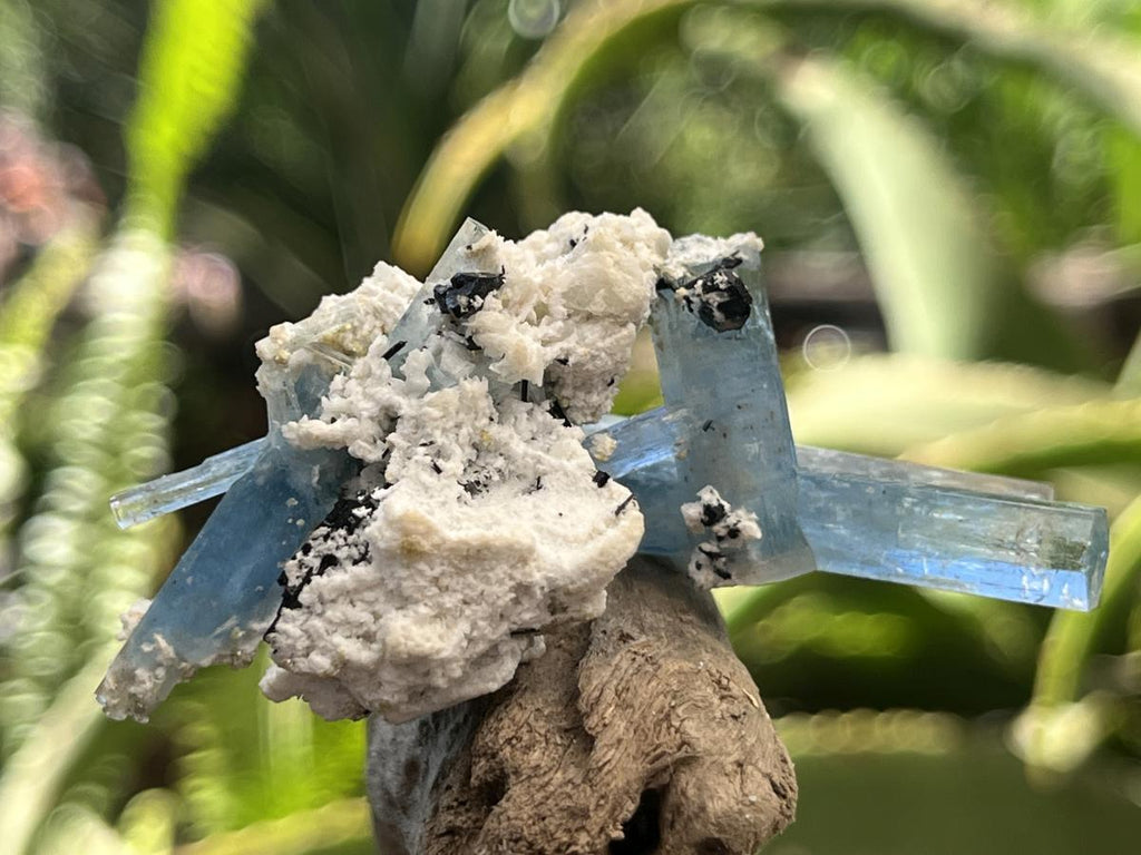 Natural Cluster of Gemmy Aquamarine and Black Tourmaline Specimen x 1 From Erongo, Namibia