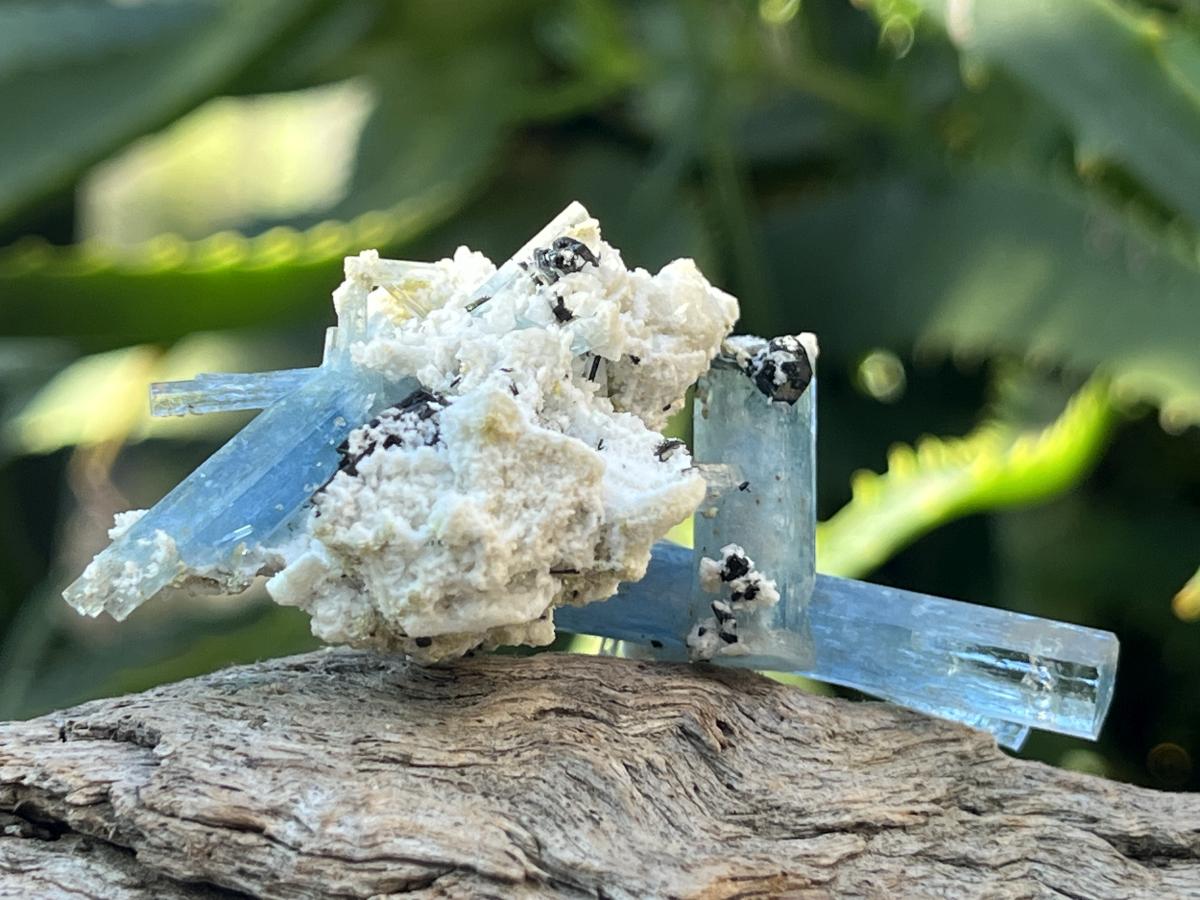 Natural Cluster of Gemmy Aquamarine and Black Tourmaline Specimen x 1 From Erongo, Namibia