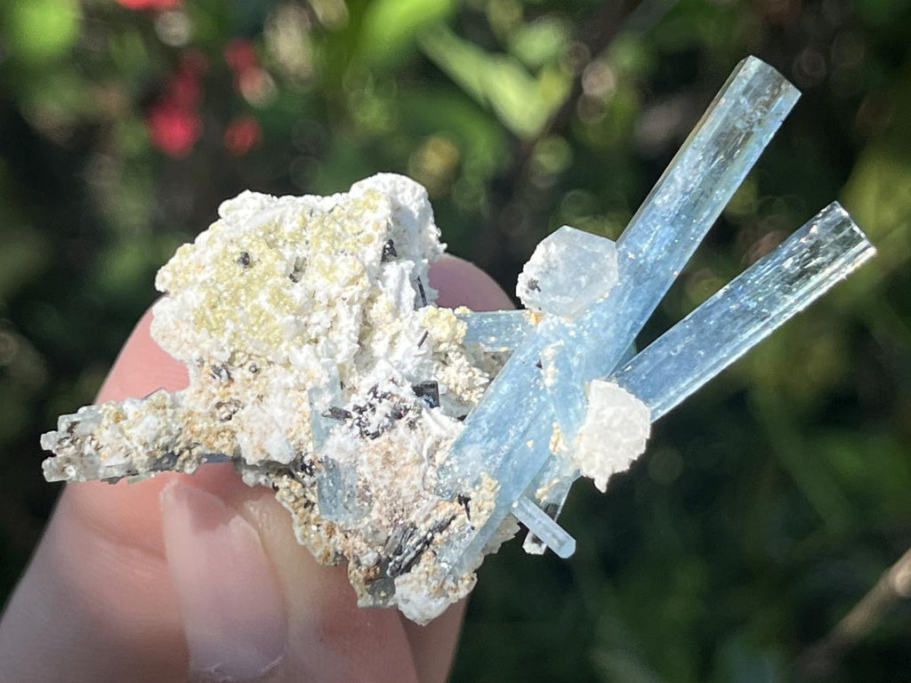 Natural Cluster of Gemmy Aquamarine and Black Tourmaline Specimen x 1 From Erongo, Namibia