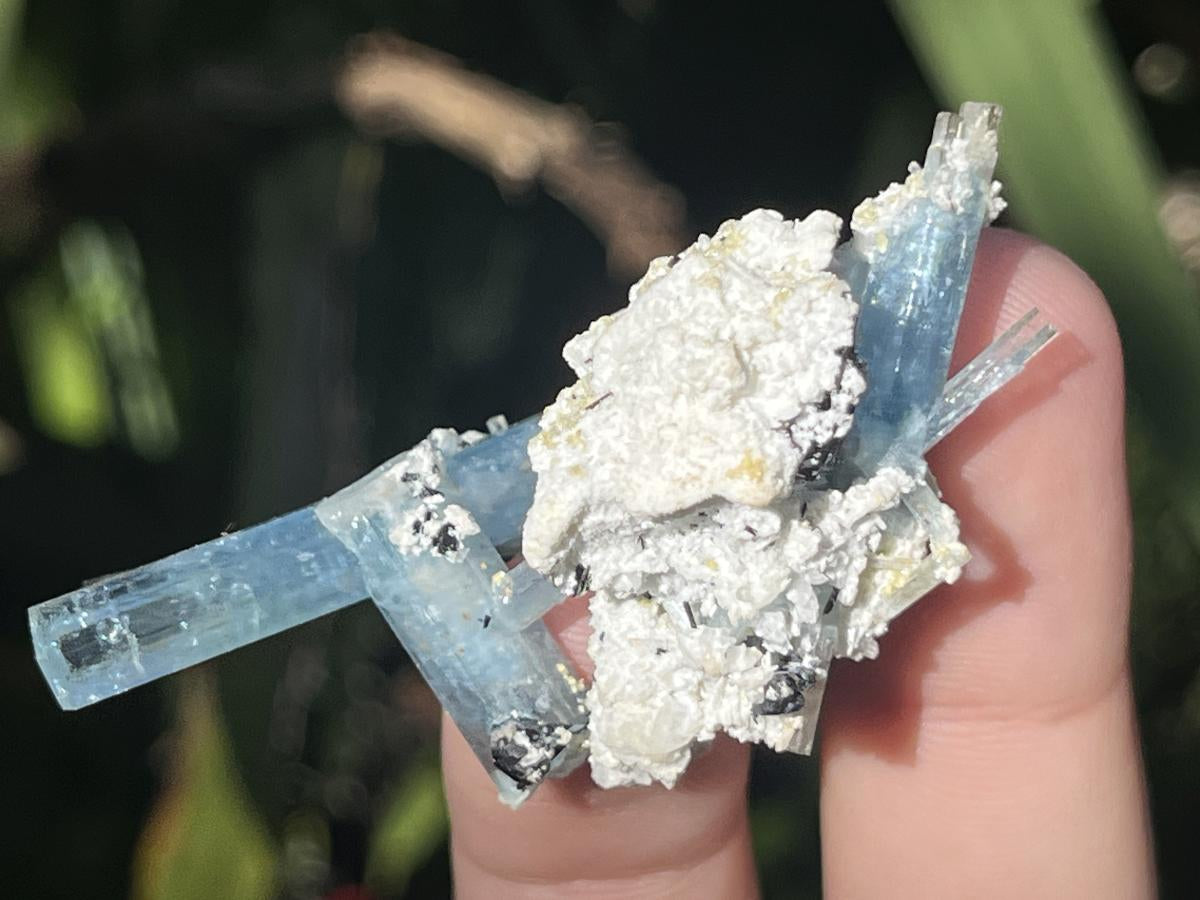 Natural Cluster of Gemmy Aquamarine and Black Tourmaline Specimen x 1 From Erongo, Namibia