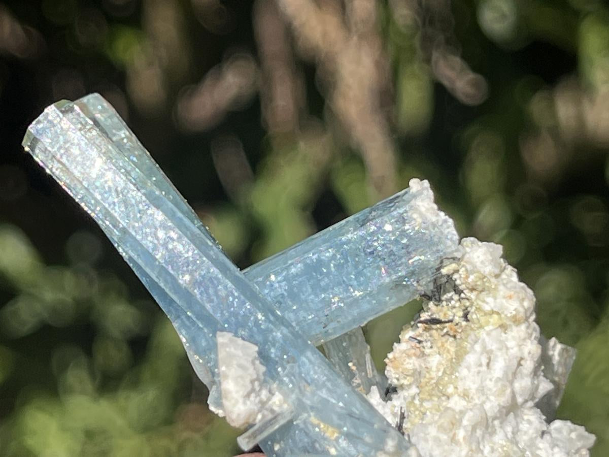 Natural Cluster of Gemmy Aquamarine and Black Tourmaline Specimen x 1 From Erongo, Namibia