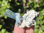 Natural Cluster of Gemmy Aquamarine and Black Tourmaline Specimen x 1 From Erongo, Namibia