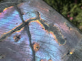 Polished Large Pure Purple Flash Labradorite Display Piece x 1 From Tulear, Madagascar
