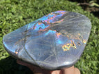 Polished Large Pure Purple Flash Labradorite Display Piece x 1 From Tulear, Madagascar