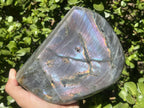 Polished Large Pure Purple Flash Labradorite Display Piece x 1 From Tulear, Madagascar