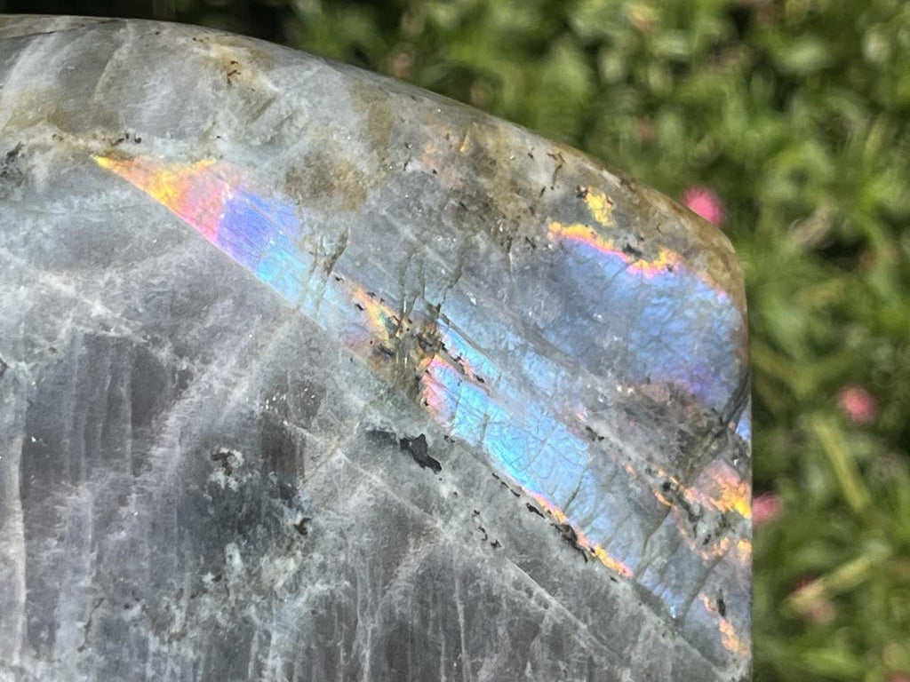 Polished Large Pure Purple Flash Labradorite Display Piece x 1 From Tulear, Madagascar