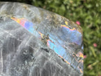 Polished Large Pure Purple Flash Labradorite Display Piece x 1 From Tulear, Madagascar