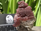 Natural Rare Red Hematiod Frosty Smokey Quartz Formation x 1 From Zomba, Malawi