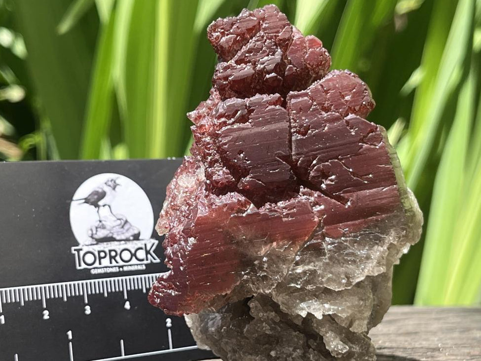 Natural Rare Red Hematiod Frosty Smokey Quartz Formation x 1 From Zomba, Malawi