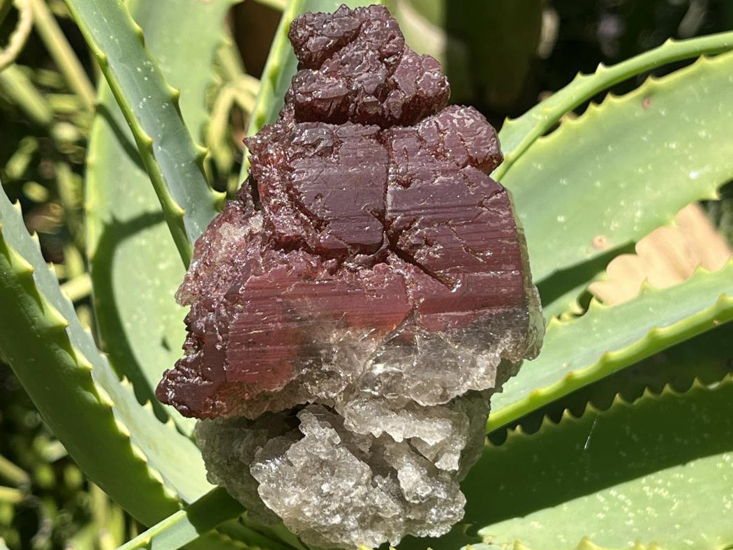 Natural Rare Red Hematiod Frosty Smokey Quartz Formation x 1 From Zomba, Malawi