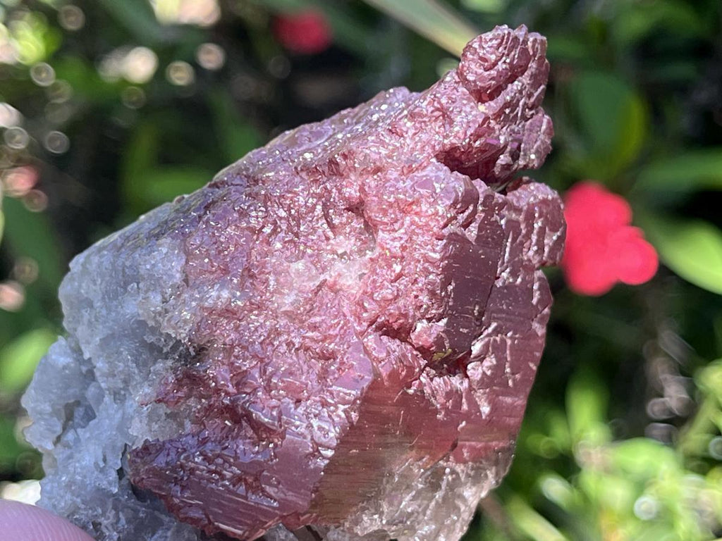 Natural Rare Red Hematiod Frosty Smokey Quartz Formation x 1 From Zomba, Malawi