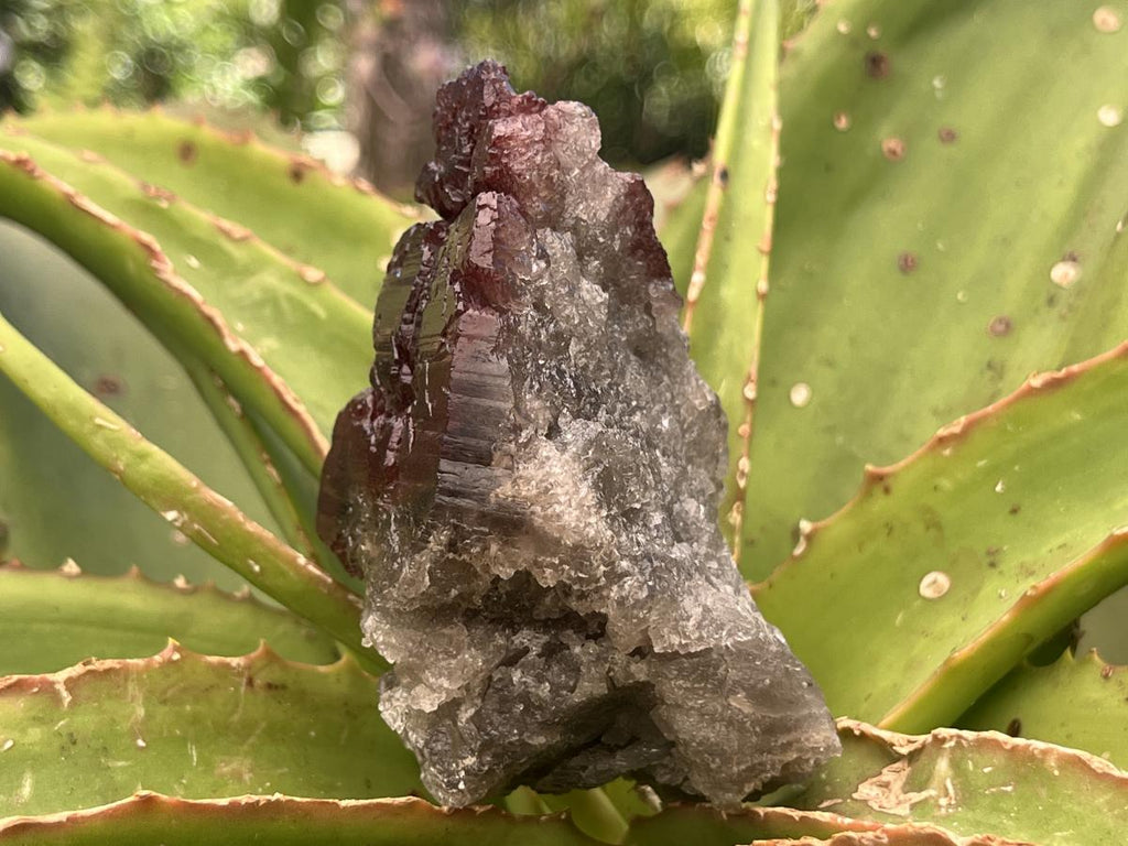 Natural Rare Red Hematiod Frosty Smokey Quartz Formation x 1 From Zomba, Malawi