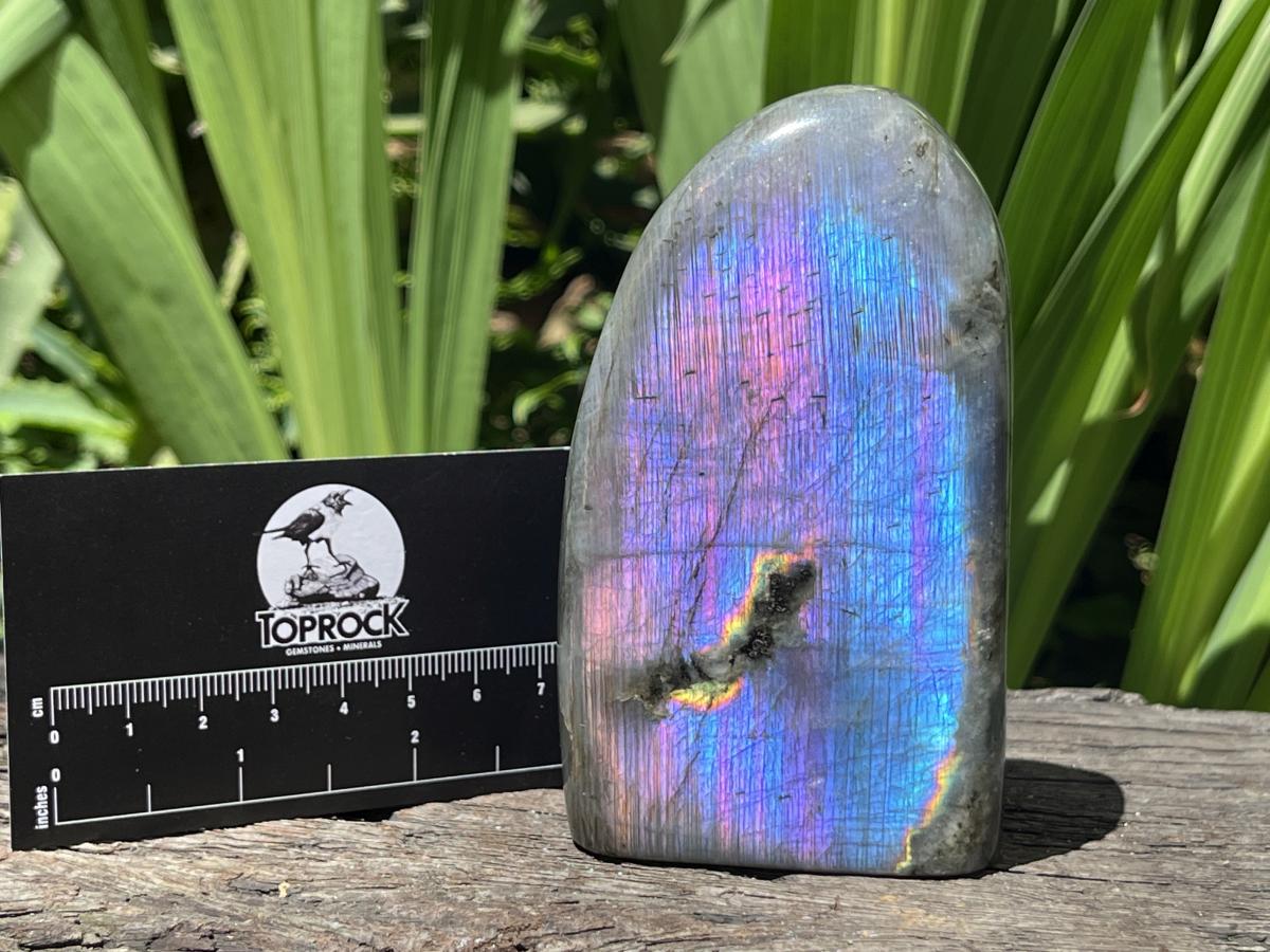 Polished Pure Purple Flash Labradorite Display Piece x 1 From Tulear, Madagascar