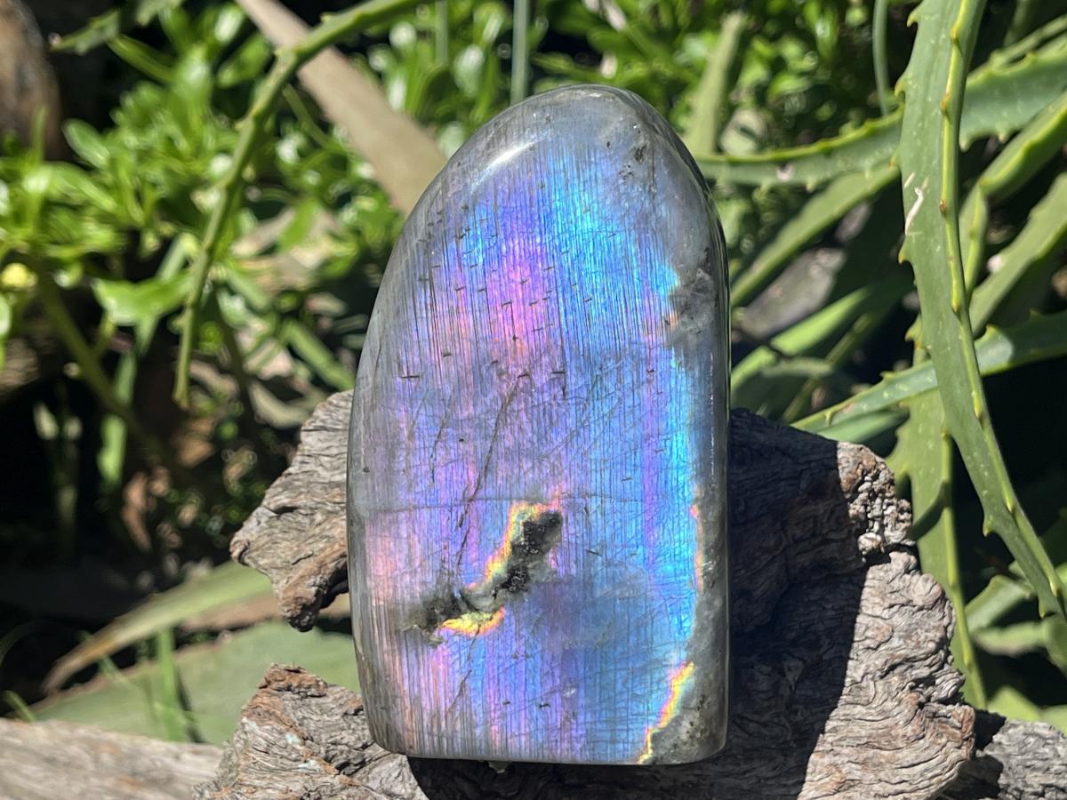 Polished Pure Purple Flash Labradorite Display Piece x 1 From Tulear, Madagascar
