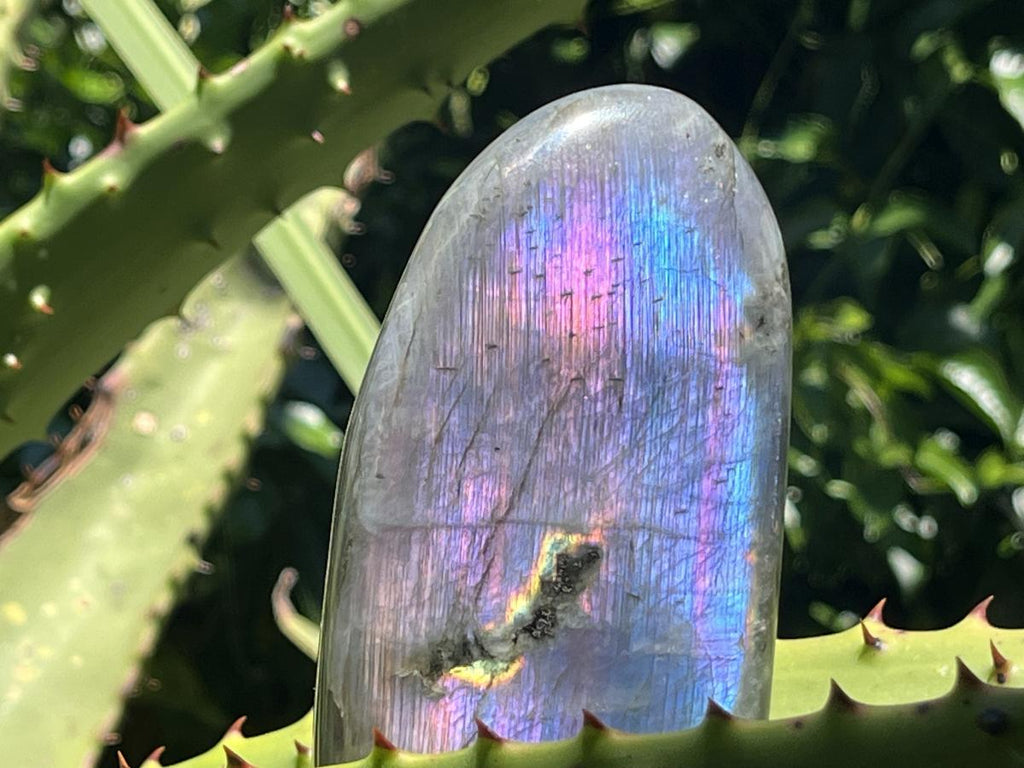 Polished Pure Purple Flash Labradorite Display Piece x 1 From Tulear, Madagascar