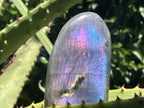 Polished Pure Purple Flash Labradorite Display Piece x 1 From Tulear, Madagascar