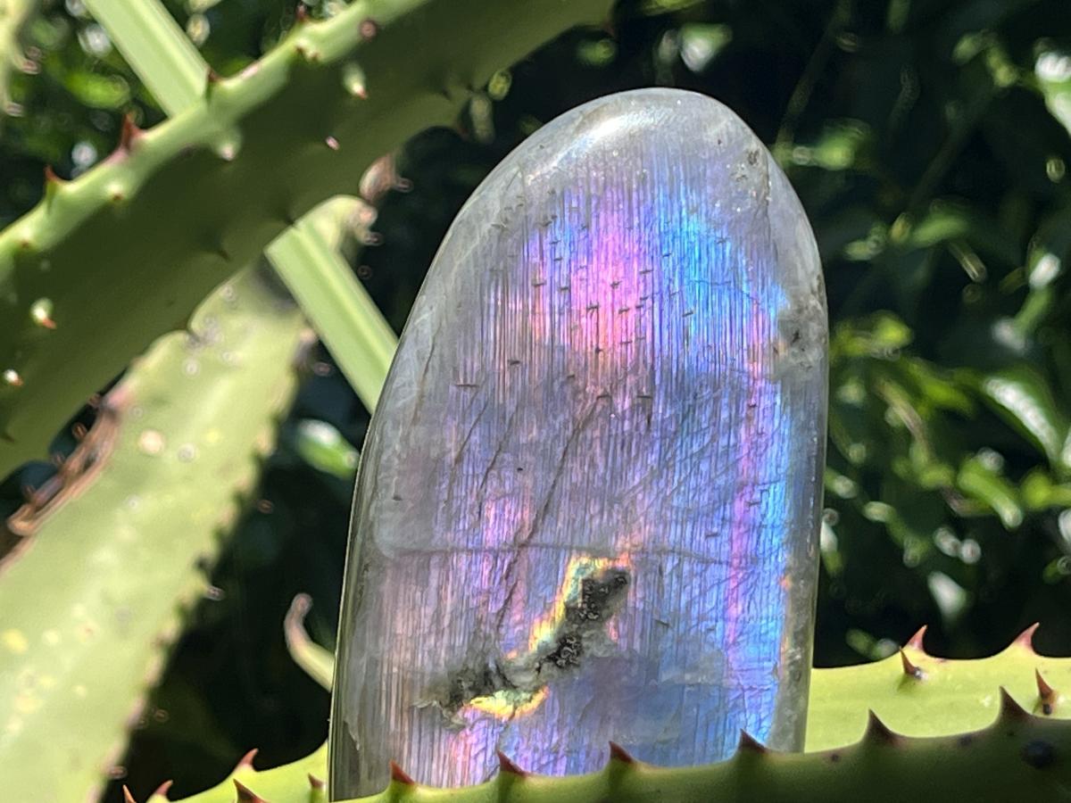 Polished Pure Purple Flash Labradorite Display Piece x 1 From Tulear, Madagascar