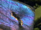 Polished Pure Purple Flash Labradorite Display Piece x 1 From Tulear, Madagascar