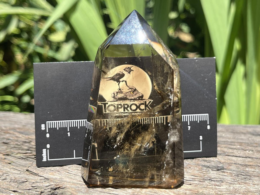 Polished Champagne Citrine Smokey Phantom Quartz Crystal x 1 From Anzojorabe, Madagascar